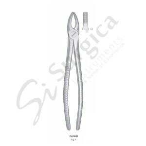 Extracting Forceps, English Pattern Fig. 1 Upper Incisors and Cuspids 