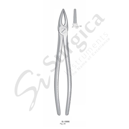 Extracting Forceps, English Pattern Fig. 29 Upper Roots and Incisors