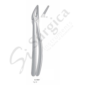 Extracting Forceps, English Pattern Fig. 30 Upper Roots