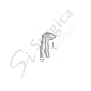 Extracting Forceps, English Pattern Fig. 33 Lower Incisors, Premolars and Roots