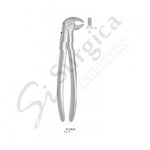 Extracting Forceps, English Pattern Fig. 13 Lower Cuspids and Premolars