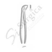 Extracting Forceps, English Pattern Fig. 4 Lower Incisors and Cuspids  