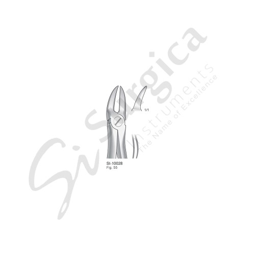 Extracting Forceps, English Pattern Fig. 55 For Separating Upper Molar Roots