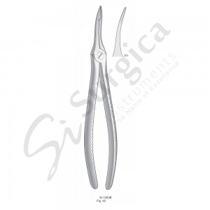 Extracting Forceps, English Pattern Fig. 49 Upper Very Fine Roots 