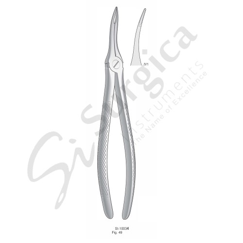 Extracting Forceps, English Pattern Fig. 49 Upper Very Fine Roots 