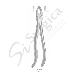 Extracting Forceps, Anatomical Handle Fig. 3 Upper Incisors and Cuspids