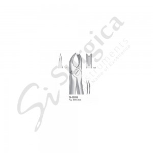 Extracting Forceps, Anatomical Handle Fig. 66R (89) Upper Molars, Right