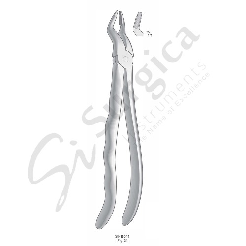 Extracting Forceps, Anatomical Handle Fig. 31 Upper Premolars