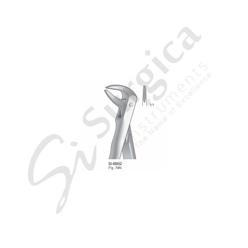 Extracting Forceps, Anatomical Handle Fig. 74N Lower Roots, Incisors and Cuspids 