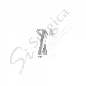 Extracting Forceps, Anatomical Handle Fig. 36 Lower Roots, Incisors and Cuspids