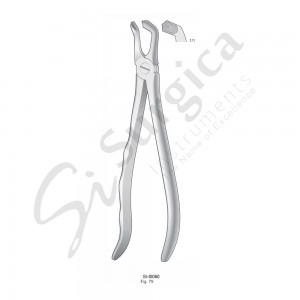 Extracting Forceps, Anatomical Handle Fig. 79 Lower Wisdom Teeths