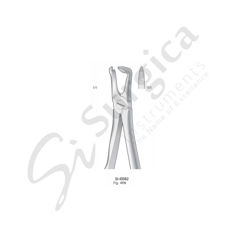 Extracting Forceps, Anatomical Handle Fig. 46N Lower Premolars