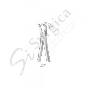 Extracting Forceps, Anatomical Handle Fig. 87 Lower Molars