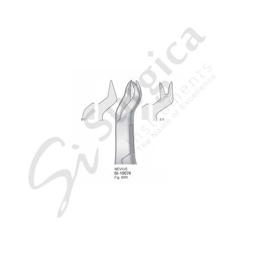Extracting Forceps, American Pattern Fig. 88R Upper Molars, Right 