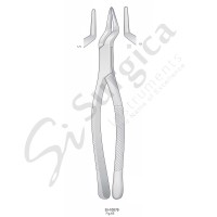 Extracting Forceps, American Pattern Fig.65 Upper Incisors and Roots 