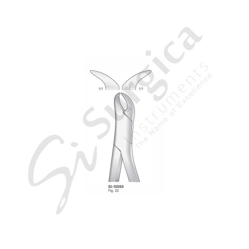Extracting Forceps, American Pattern Fig. 23 Lower Molars 