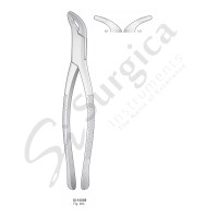 Extracting Forceps, American Pattern Fig. 203 Lower Incisors, Premolars, Roots 