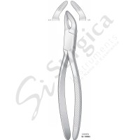 Extracting Forceps, American Pattern Universal 
