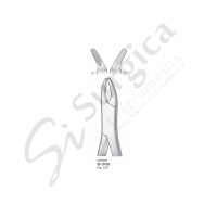 Extracting Forceps, American Pattern Fig. 150 For Adults 