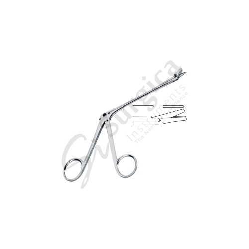 Struycken Nasal Cutting Forcep x = 120 mm – 4 3/4 "