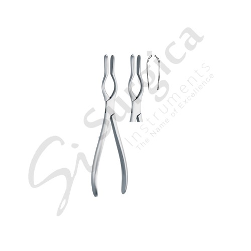 Cottle Walsham Septum Forceps Straight 230 mm – 9 "