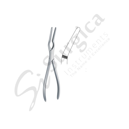 Asch Septum Forceps 23 cm – 9 "