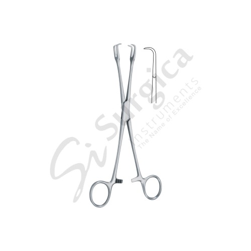 Museux Tonsil holding forceps 20 cm – 8 " 