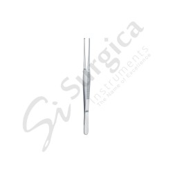 Taylor Tissue Forceps 175 mm Teeth 1 x 2