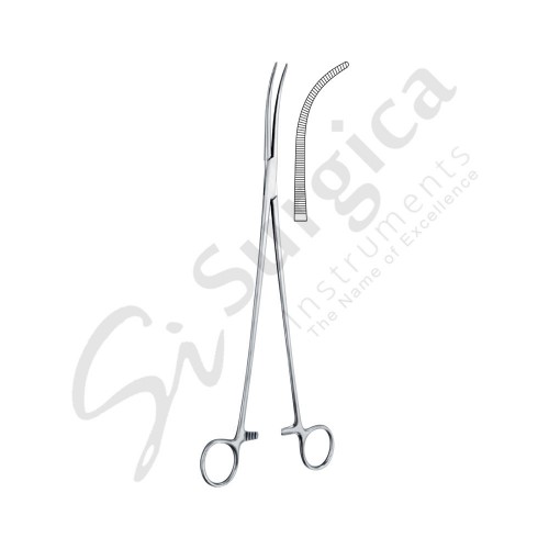 Overholt Dissecting And Ligature Forceps 295 mm Fig. 1