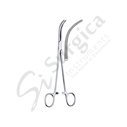 Overholt-Mixter Dissecting And Ligature Forceps Curved 210 mm