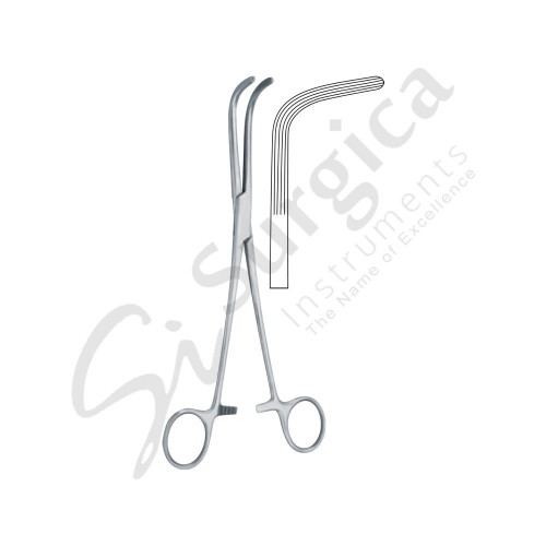 Mc Quigg-Mixter Kidney Pedicle And Gall Duct Forceps Extra Curved 220 mm