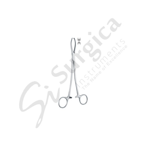 Littlewood Tissue And Intestinal Holding Forceps 190 mm Teeth 2 x 3