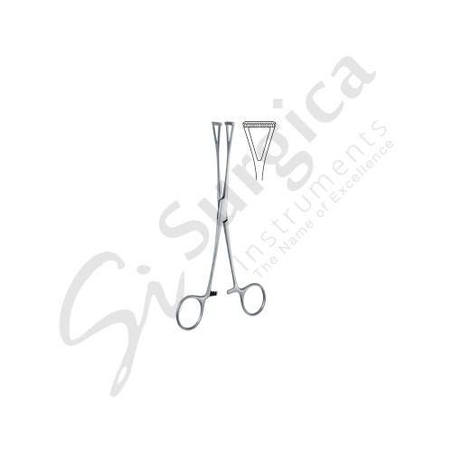 Duval Tissue And Intestinal Holding Forceps 180 mm