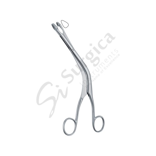 Faure Cervical Biopsy and Specimen Forcep 210 mm – 8 1/2 "