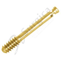 12.5mm DHS/DCS Screw (With Compression Screw)
