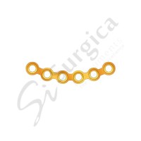 Orbital Plate With Gold Color 6 Hole