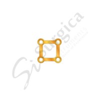 Quadro Plate With Gold Color 2-2 Hole