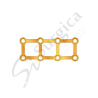 Quadro Plate With Gold Color 4-2 Hole