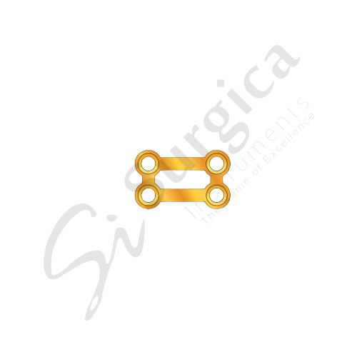 Rectangular Plate Titanium With Gold 2-2 Hole