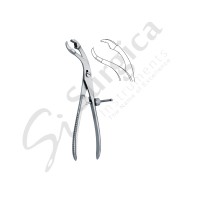 Bone Holding Forceps 26 cm – 10 1/4 " x = 10.0 mm