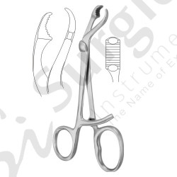 Verbrugge Bone Holding Forceps 26 cm - 10 1/4"