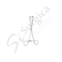 Young Prostatectomy Forcep Prostate holding forceps 205 mm – 8 "
